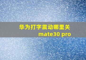 华为打字震动哪里关 mate30 pro